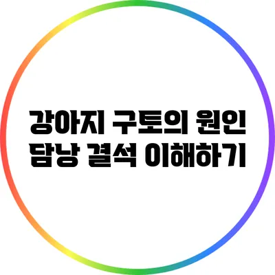 강아지 구토의 원인: 담낭 결석 이해하기