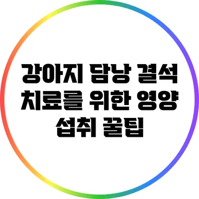 강아지 담낭 결석 치료를 위한 영양 섭취 꿀팁