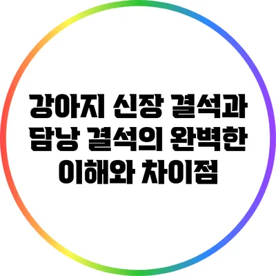 강아지 신장 결석과 담낭 결석의 완벽한 이해와 차이점