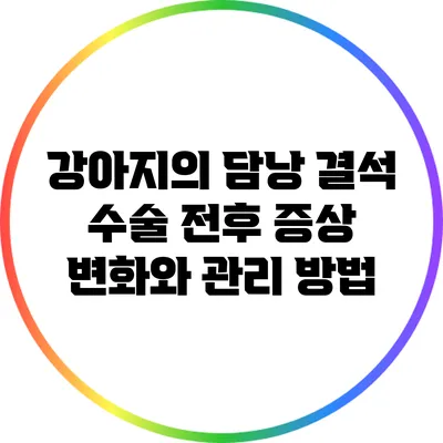 강아지의 담낭 결석: 수술 전후 증상 변화와 관리 방법
