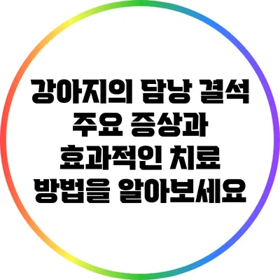 강아지의 담낭 결석: 주요 증상과 효과적인 치료 방법을 알아보세요