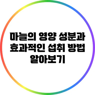 마늘의 영양 성분과 효과적인 섭취 방법 알아보기