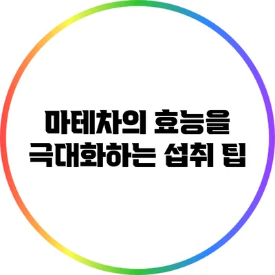 마테차의 효능을 극대화하는 섭취 팁