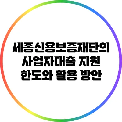세종신용보증재단의 사업자대출 지원 한도와 활용 방안