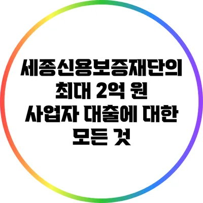 세종신용보증재단의 최대 2억 원 사업자 대출에 대한 모든 것