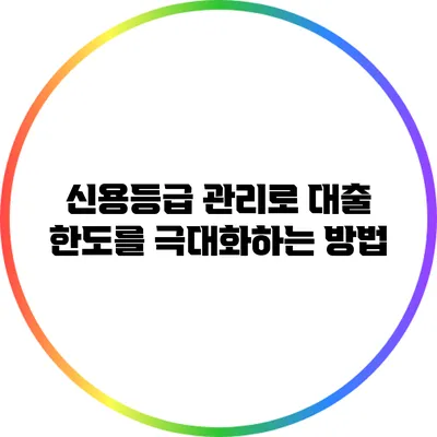 신용등급 관리로 대출 한도를 극대화하는 방법