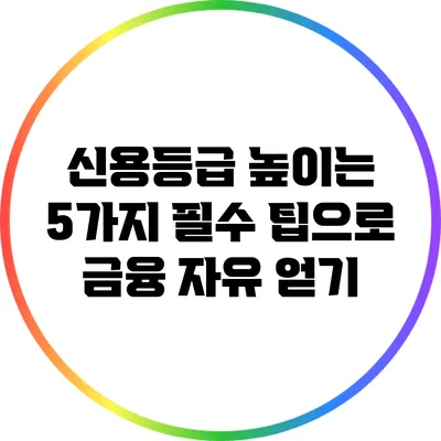 신용등급 높이는 5가지 필수 팁으로 금융 자유 얻기