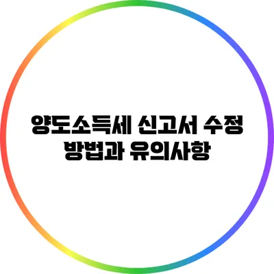 양도소득세 신고서 수정 방법과 유의사항