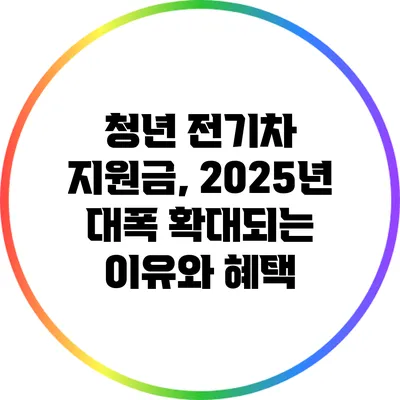 청년 전기차 지원금, 2025년 대폭 확대되는 이유와 혜택