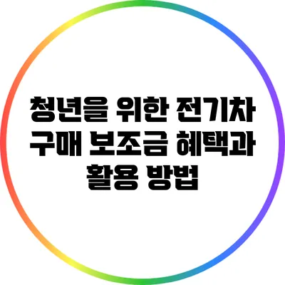 청년을 위한 전기차 구매 보조금 혜택과 활용 방법