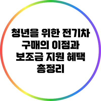 청년을 위한 전기차 구매의 이점과 보조금 지원 혜택 총정리