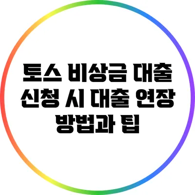 토스 비상금 대출 신청 시 대출 연장 방법과 팁