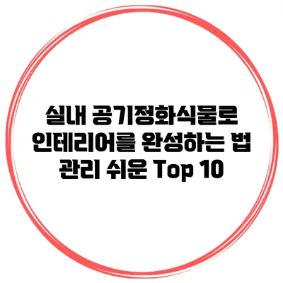 실내 공기정화식물로 인테리어를 완성하는 법: 관리 쉬운 Top 10