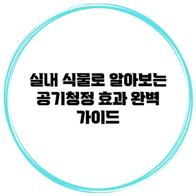 실내 식물로 알아보는 공기청정 효과 완벽 가이드