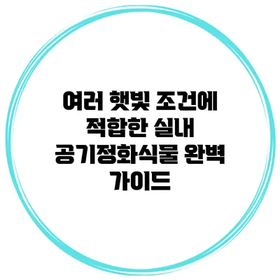 여러 햇빛 조건에 적합한 실내 공기정화식물 완벽 가이드