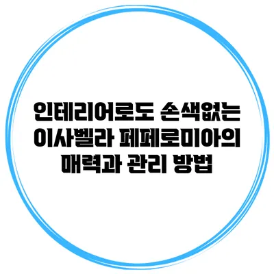 인테리어로도 손색없는 이사벨라 페페로미아의 매력과 관리 방법