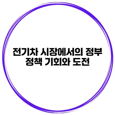 전기차 시장에서의 정부 정책 기회와 도전