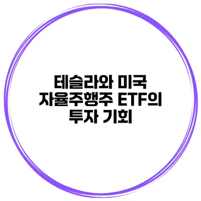 테슬라와 미국 자율주행주 ETF의 투자 기회