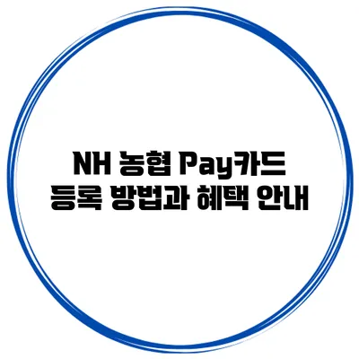 NH 농협 Pay카드 등록 방법과 혜택 안내