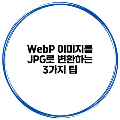 WebP 이미지를 JPG로 변환하는 3가지 팁