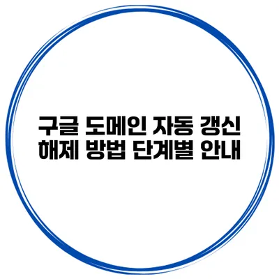 구글 도메인 자동 갱신 해제 방법 단계별 안내