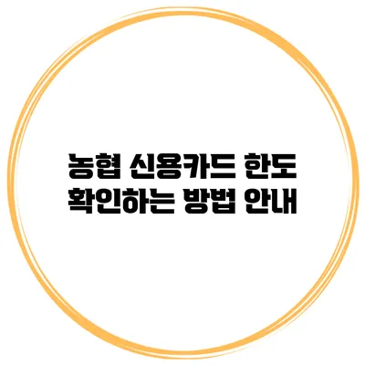농협 신용카드 한도 확인하는 방법 안내